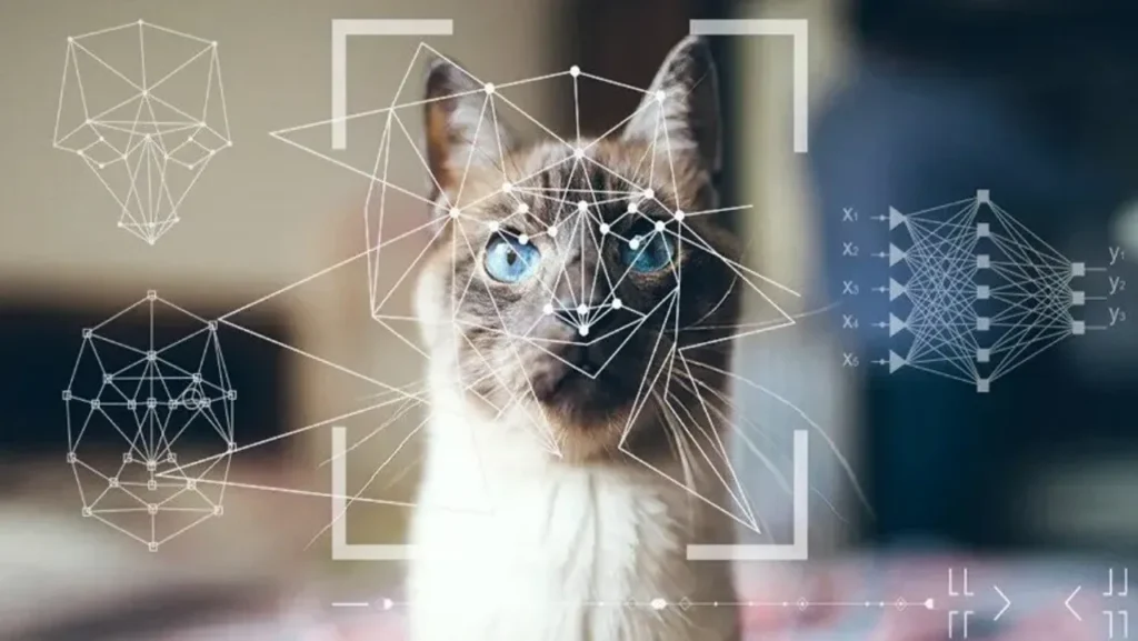 мш5ш