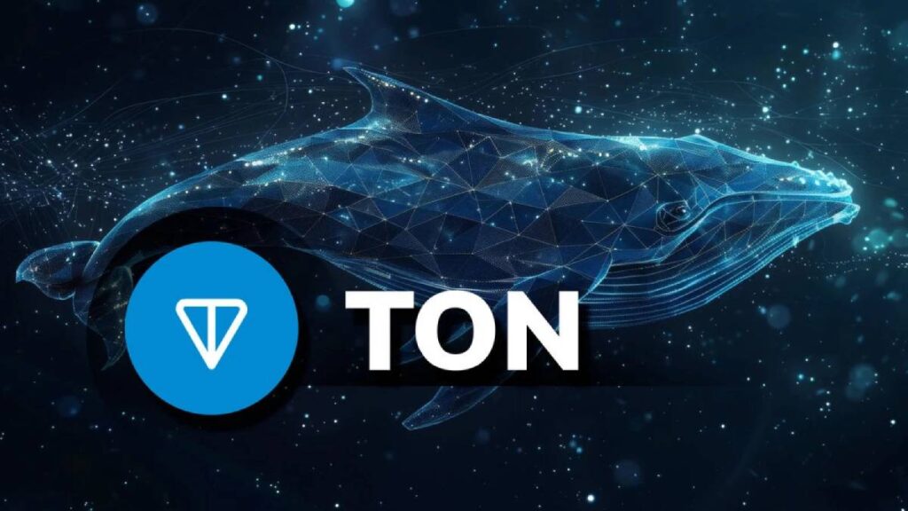 toncoin-whale-1-1