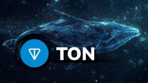 toncoin-whale-1-1