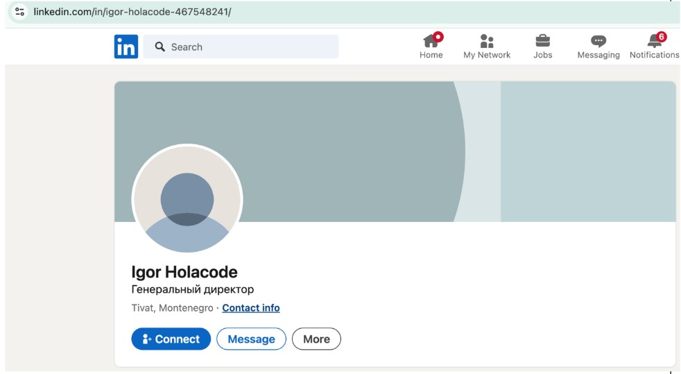 The LinkedIn profile believed to be Igor Voronin